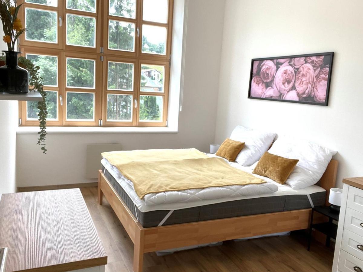 Residence Kotel Rokytnice nad Jizerou Bagian luar foto